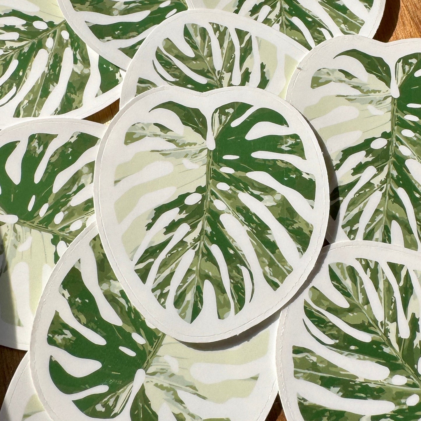 Monstera Albo Sticker 2.5” GLOSSY | MULTIPLE COLORS!