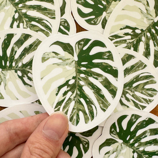 Monstera Albo Sticker 2.5” GLOSSY | MULTIPLE COLORS!