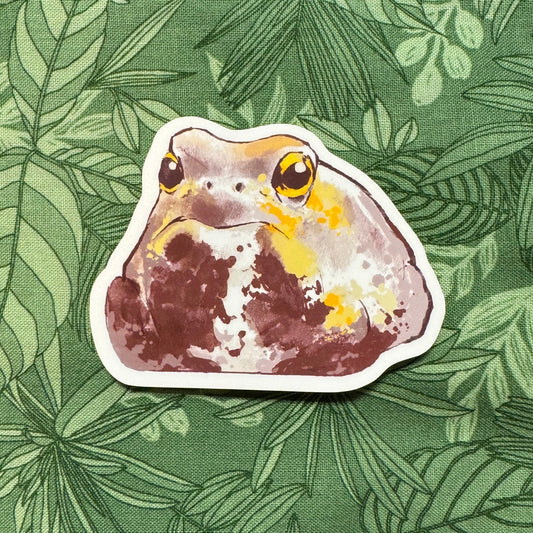 Rain Frog Sticker